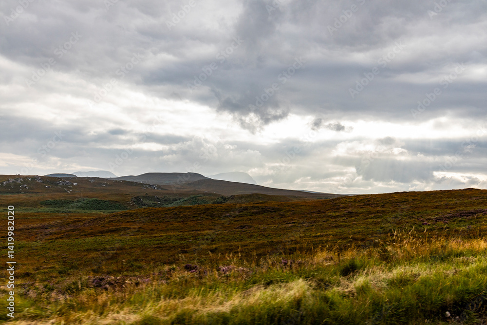 Obraz premium Winding through the Scottish Highlands, the road unveils green pastures, roaming wildlife, and vast unspoiled landscapes. A journey through raw beauty, freedom, silence,nature, timeless wilderness.
