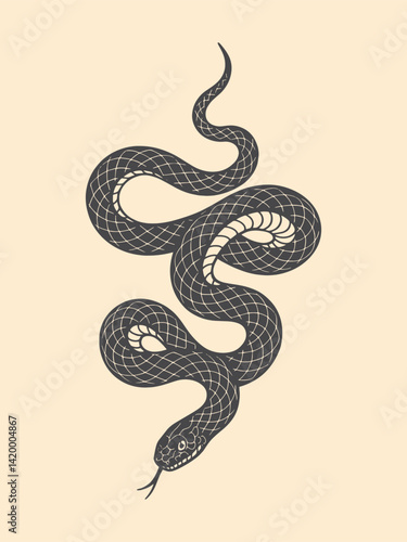 Vintage engraving of coiled snake with bold black scales