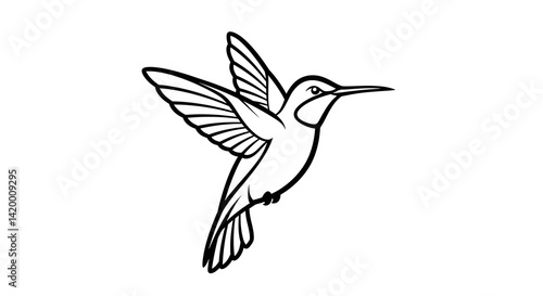 Hummingbird Flying Line Art