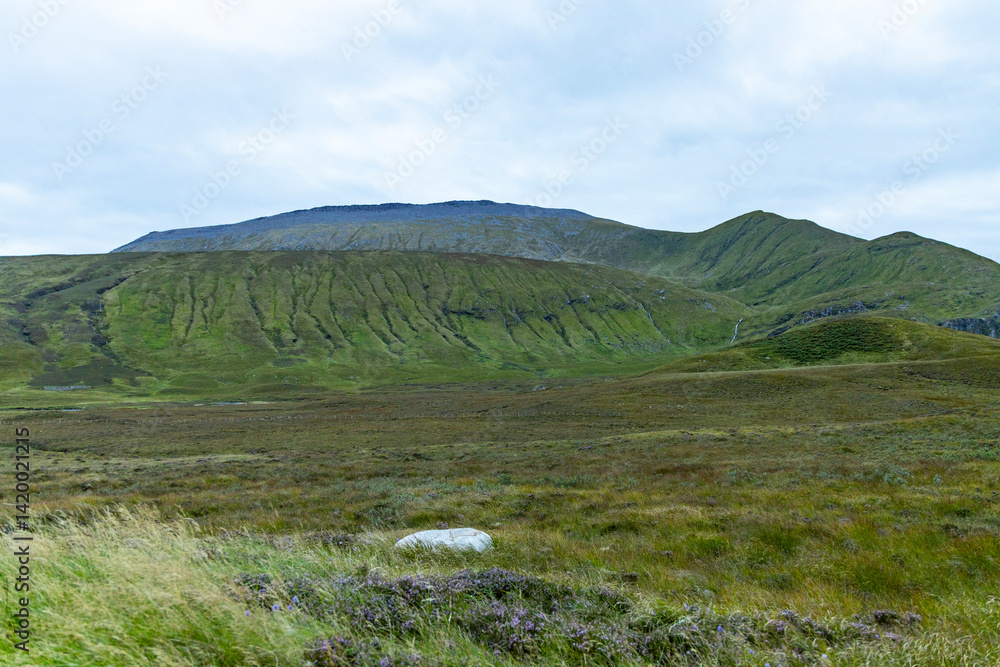 Fototapeta premium Winding through the Scottish Highlands, the road unveils green pastures, roaming wildlife, and vast unspoiled landscapes. A journey through raw beauty, freedom, silence,nature, timeless wilderness.