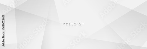 Minimal Abstract White Polygonal Background with Transparent Shapes