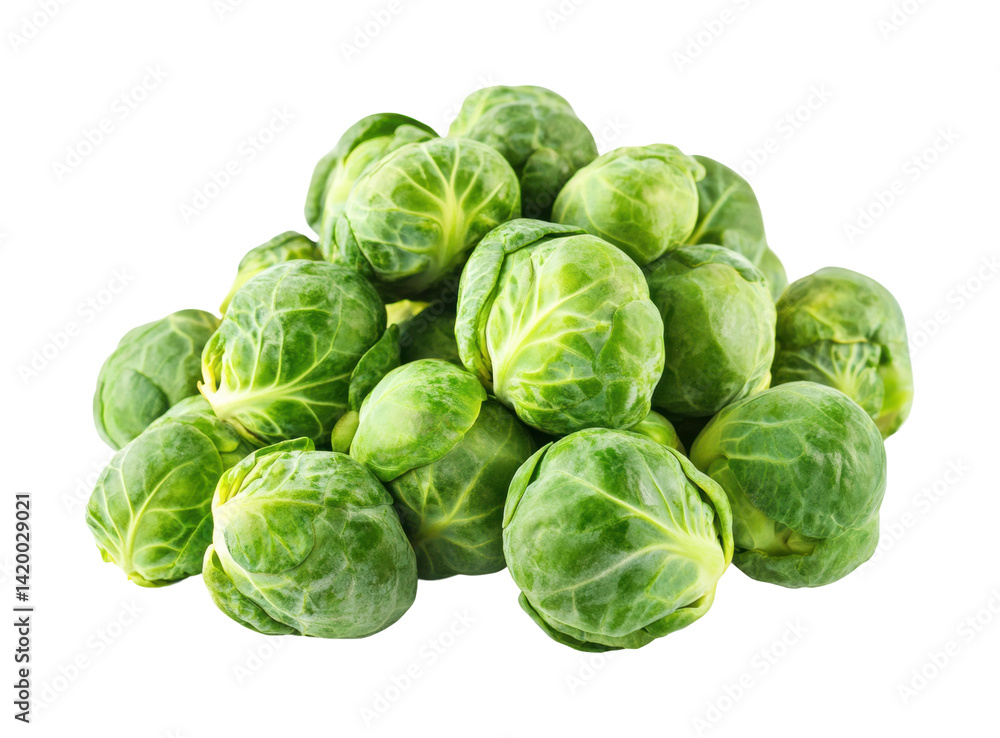 Harvesting fresh brussels sprouts local farm food isolated on transparent background Harvesting fresh brussels sprouts local farm food isolated on transparent background