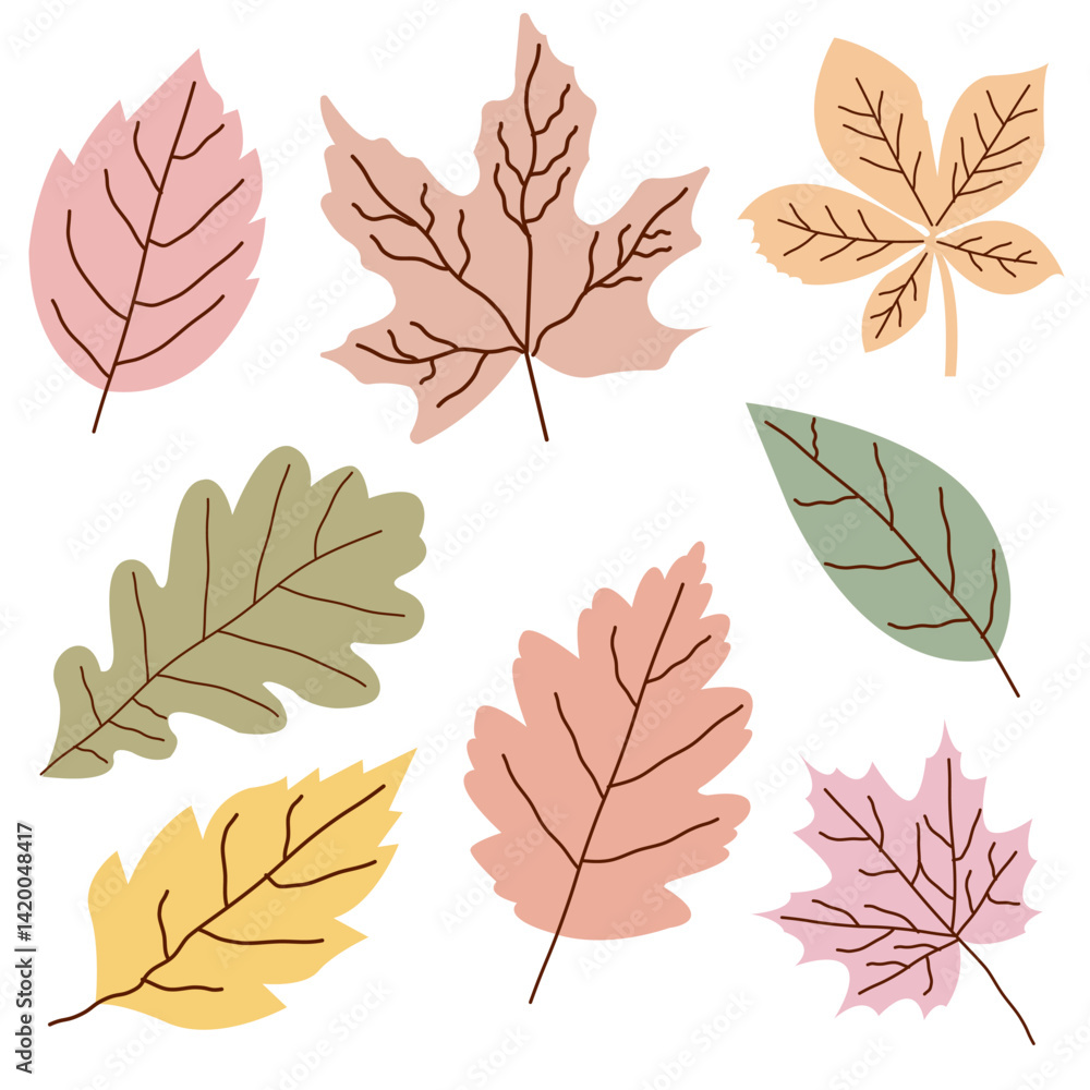 Obraz premium Set of hand drawn autumn leaves.
