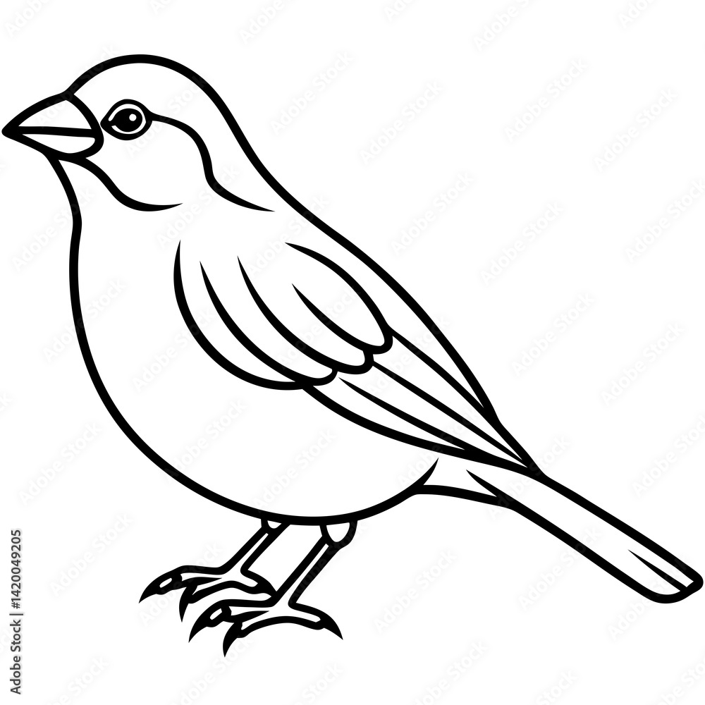 Simplistic Sparrow Line Drawing Vector Simplistic Sparrow Line Drawing Vector