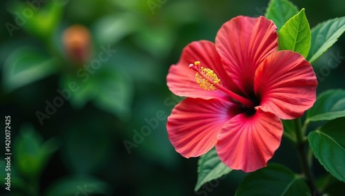 Wallpaper Mural Bold tropical hibiscus, vibrant colors, lush foliage, print, home decor Torontodigital.ca