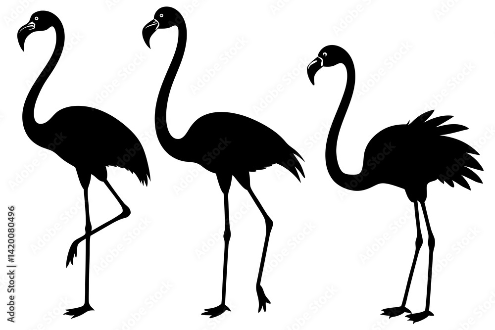 Obraz premium set of flamingo bird vector silhouette illustration isolated on white background