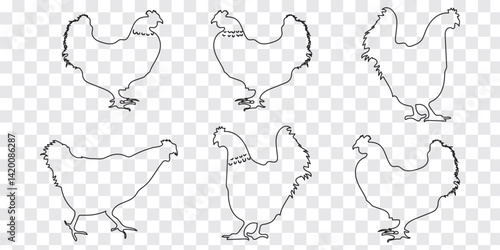 Hens silhouettes Icon.  Set of vector chicken black silhouettes isolated on white background.