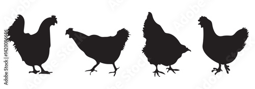 Hens silhouettes Icon.  Set of vector chicken black silhouettes isolated on white background.
