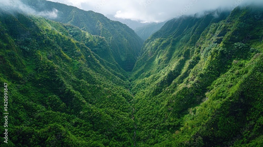 Fototapeta premium Lush, verdant valley carved by mountains.