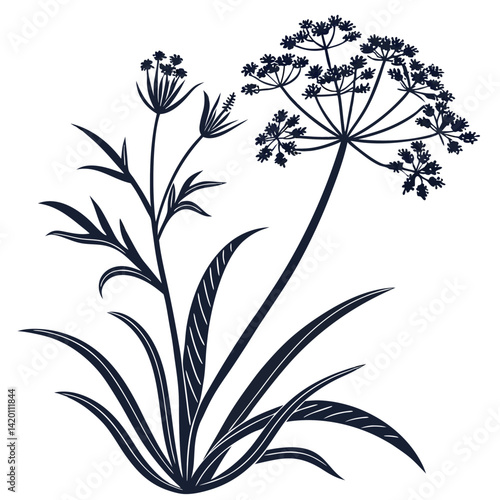  Bold Outline Cyperus Houseplant Illustration