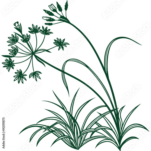  Stylish Cyperus Houseplant Illustration