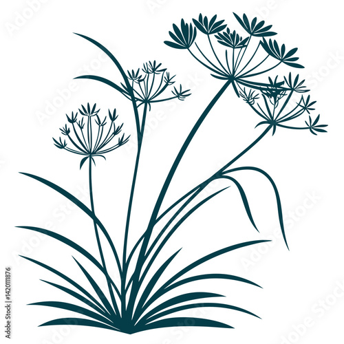 Creative Bold Outline of Cyperus Houseplant
