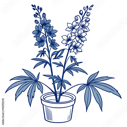  Creative Delphinium Houseplant Illustration