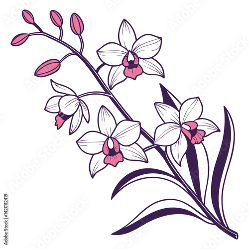  Creative Dendrobium Orchid Houseplant Illustration