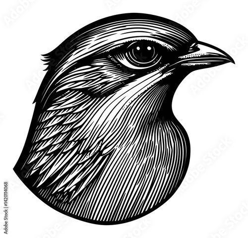 Detailed Black and White Woodcut Style Bird Illustration Design