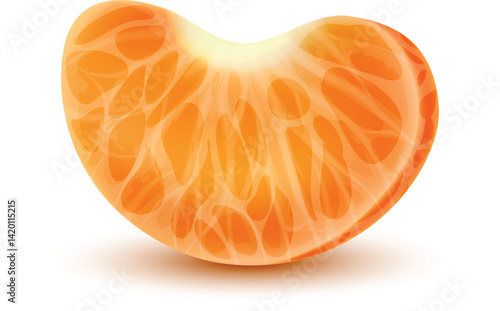 Close-up of a juicy mandarin orange segment