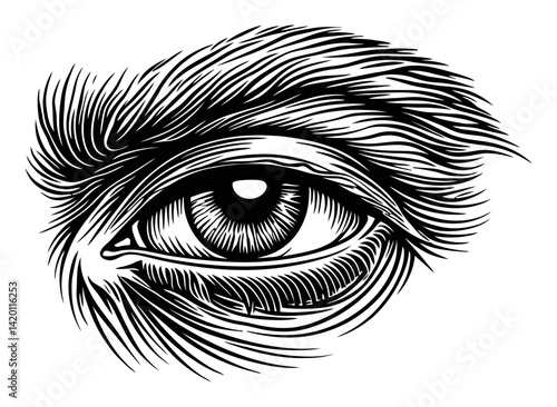 Detailed Black and White Woodcut Eye Illustration and Engraving Art