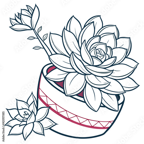  Echeveria Elegans Houseplant Bold Art