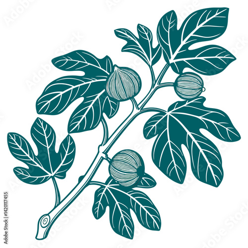  Elegant Edible Fig Plant Design