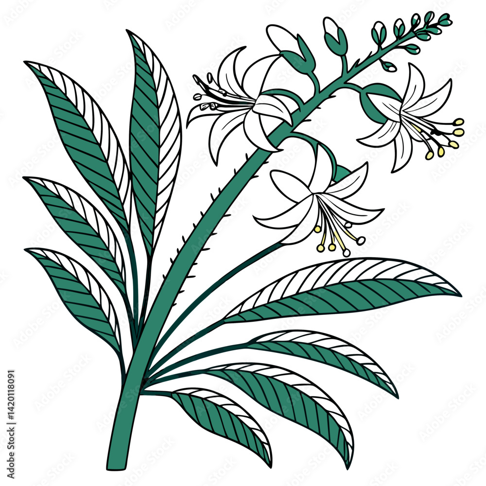 Naklejka premium Elegant Ericameria Cactus Art for Modern Spaces