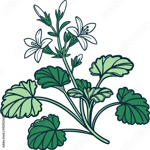  Unique Forage Plant Houseplant Outline Design
