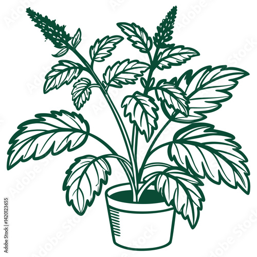 Charming Forage Plant Houseplant Design