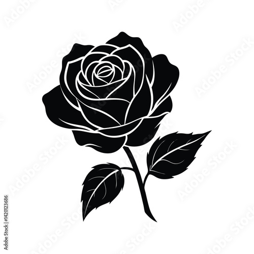 Silhouette rose flower on a white background
