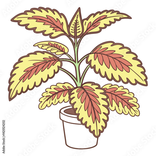  Vibrant Frizzle Sizzle Houseplant Illustration