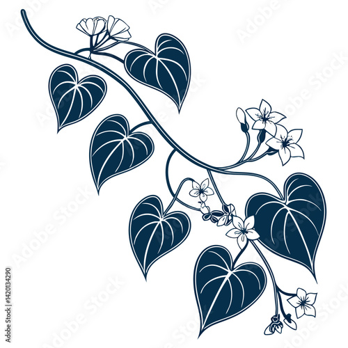  Stylish Hoya Bella Houseplant Design