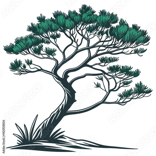  Elegant Juniperus Plant Illustration for Interiors