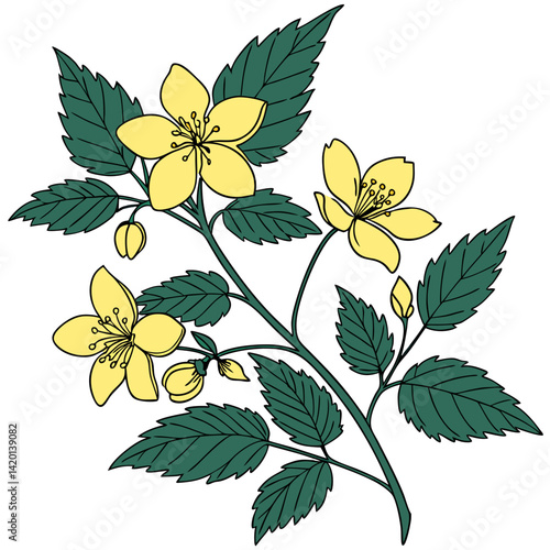 Vibrant Kerria Japonica Plant Art for Interiors