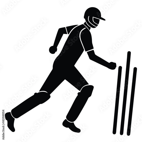 Stumps and Bails Cricket Equipment View