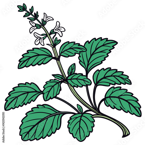  Stylish Lemon Balm Houseplant Outline Design