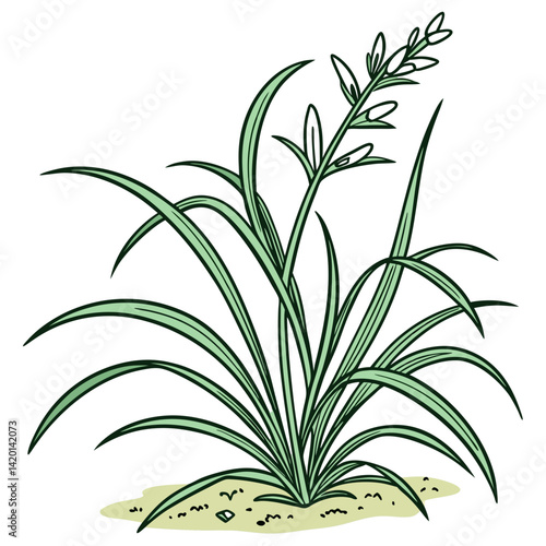  Elegant Lemongrass Houseplant Vector Design