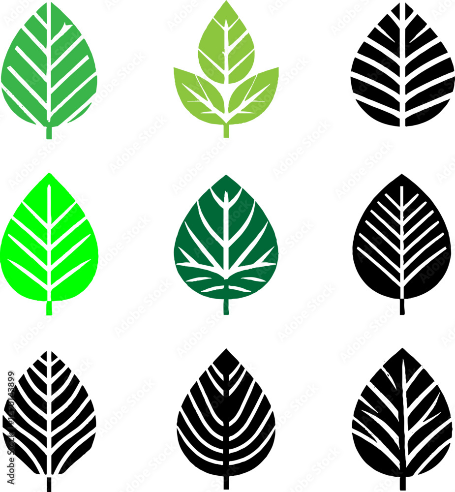 Fototapeta premium set of leaves