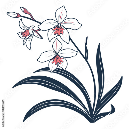  Elegant Miltonia Orchid Houseplant Illustration