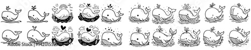 Photography Collection of line vectors of whale animals
