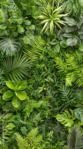 Lush Green Plant Wall
