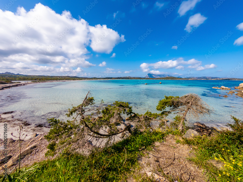 Lu Impostu shore under a cloudy sky in springtime