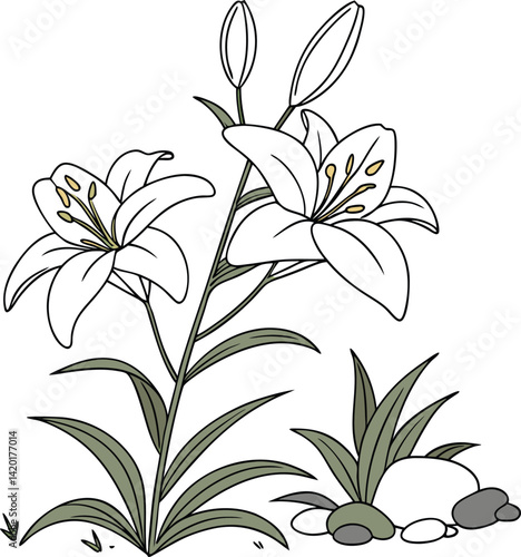 White Lillies with Green Leaves on Natural Ground Design