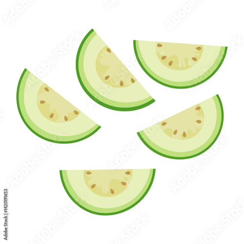 set of green guava slices vector illustration isolated