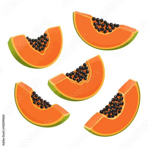 set of ripe papaya slices vector illustration isolated