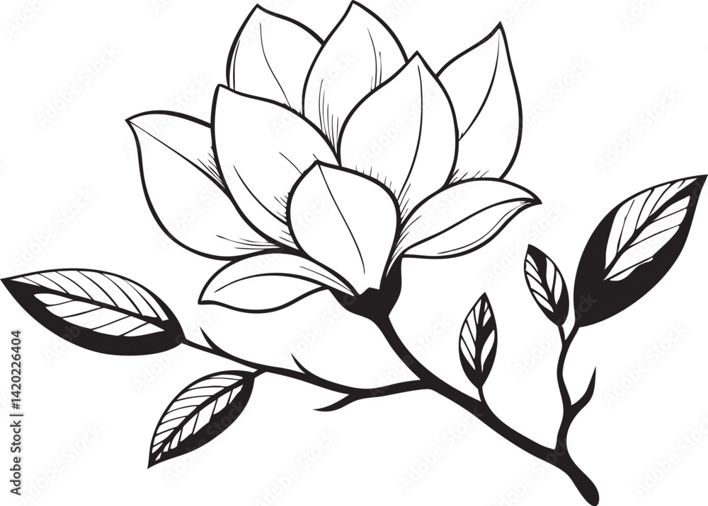 Intricate Magnolia Line Drawing – Elegant Black & White Botanical Illustration Intricate Magnolia Line Drawing – Elegant Black & White Botanical Illustration