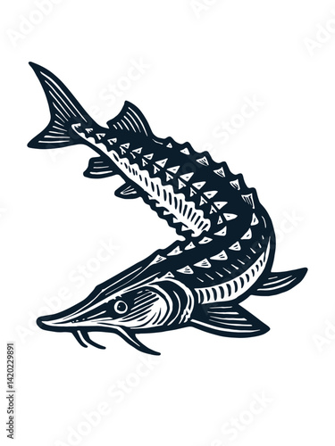 Sturgeon fish vintage engraving illustration in black and white
