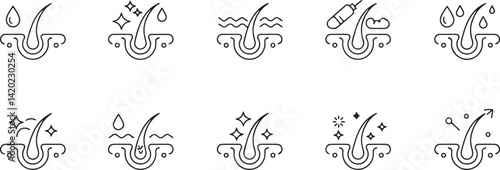 Hair Follicle Growth Stages Icons Set for Hair Care Products