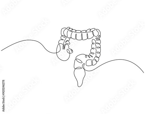 Continuous line drawing of human colon. Single line illustration of human colon organ. Human anatomy concept. Editable outline