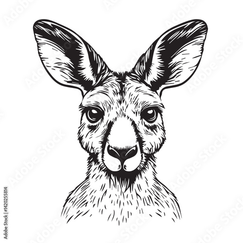 sketch of a kangaroo head on a white background, vector, black and white graphics
