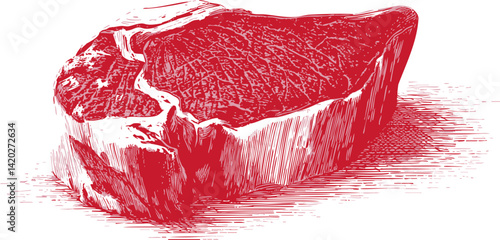 Red and white illustration of raw beef steak with detailed texture in sketch style. Vector illustration