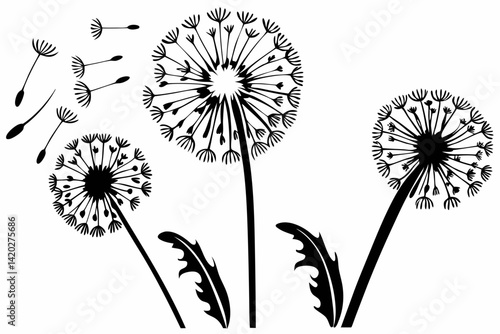 vector dandelion flowers