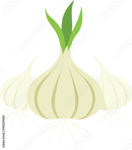 garlic isolated on white background